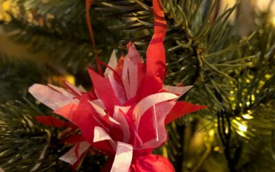 20. december – Mønt i skjul